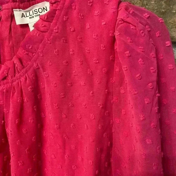 Allison Women's Mini Dress Hot Pink Swiss dot long sleeve ruffles sheer large - Picture 12 of 16